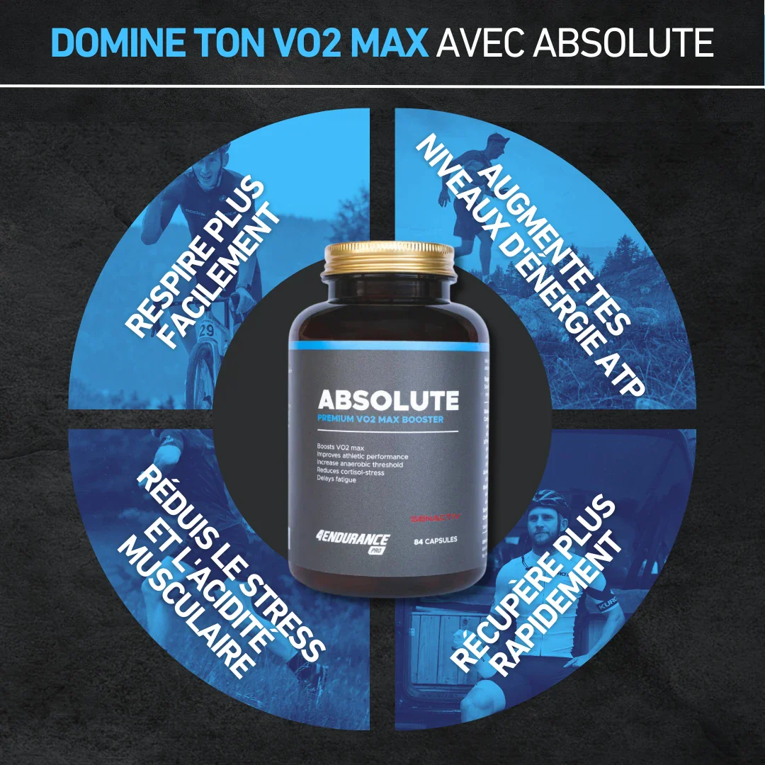 Absolute - Image 5
