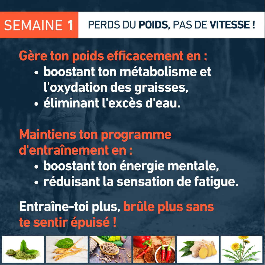 Fusion - Image 5