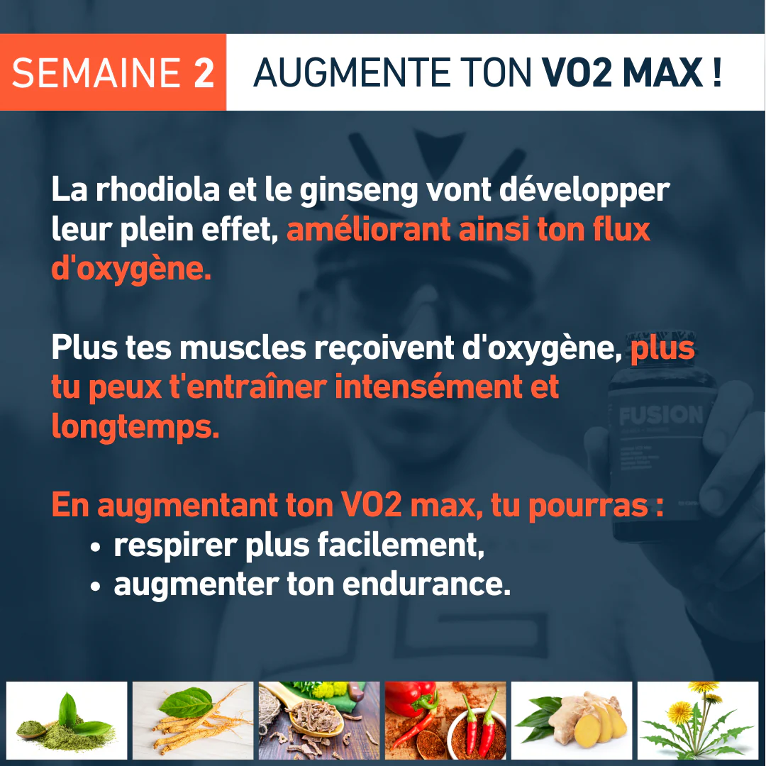 Fusion - Image 6