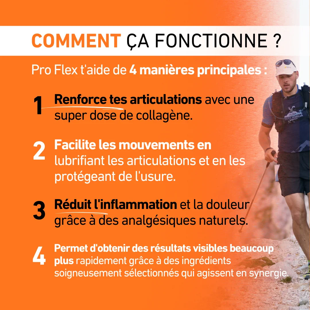 Pro Flex - Image 6